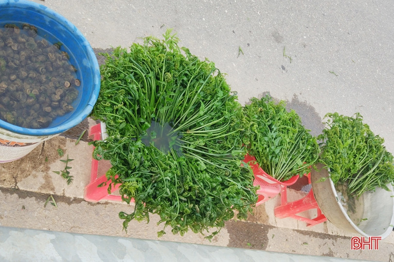 Mưu sinh bên lề đường: Giận mà thương!