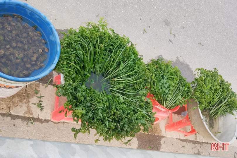 Mưu sinh bên lề đường: Giận mà thương!