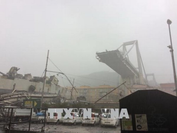 Vụ sập cầu cạn tại Italy: Bắt đầu thu hồi giấy phép của Autostrade