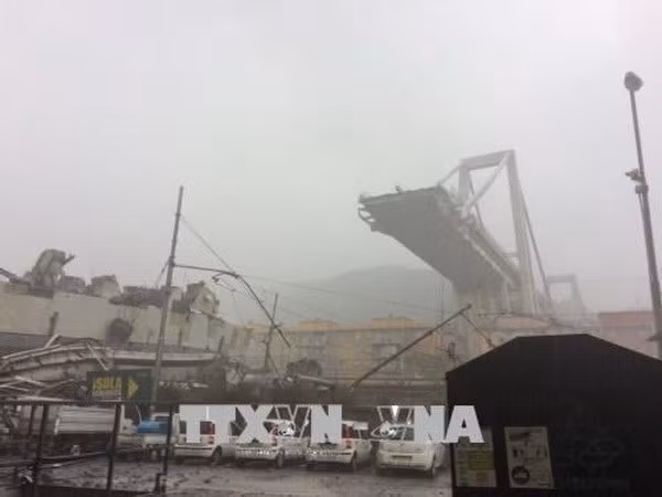 Vụ sập cầu cạn tại Italy: Bắt đầu thu hồi giấy phép của Autostrade