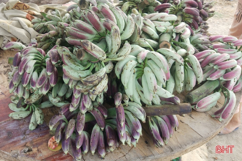 Mưu sinh bên lề đường: Giận mà thương!