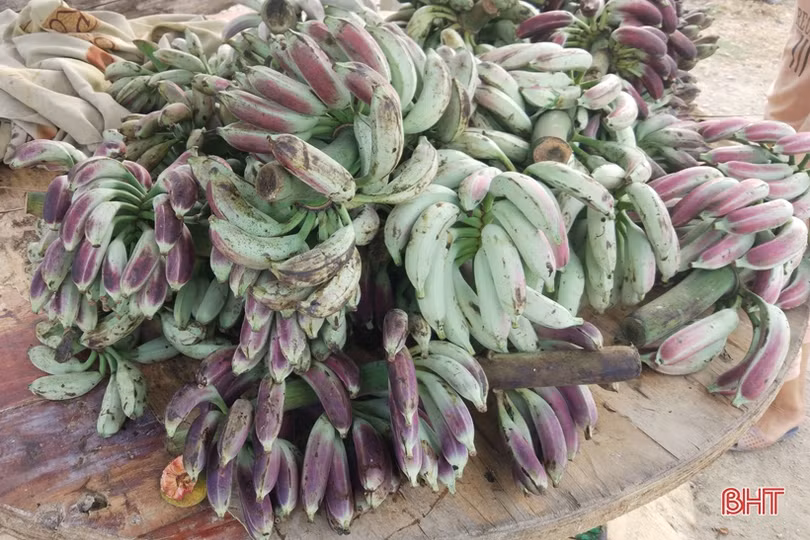 Mưu sinh bên lề đường: Giận mà thương!