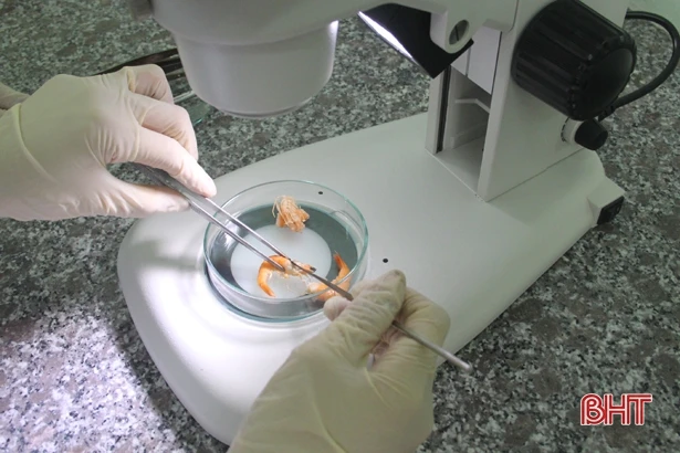 Hà Tĩnh có nhà chẩn đoán bệnh động vật, thủy sản kỹ thuật cao