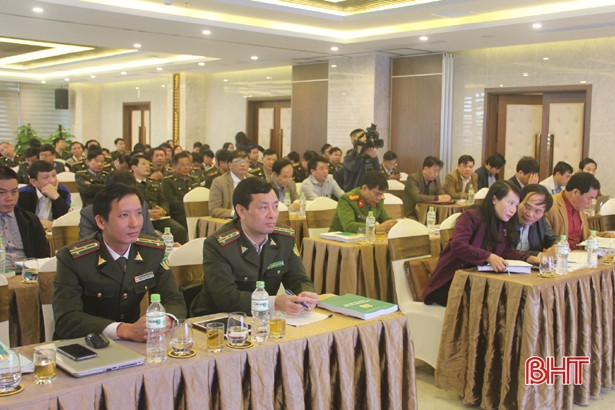 Luật Lâm nghiệp mở rộng hướng liên kết theo chuỗi sản xuất hàng hóa