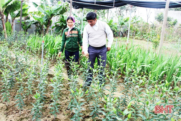 Quan Nam giàu đẹp, yên vui