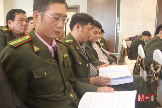 Luật Lâm nghiệp mở rộng hướng liên kết theo chuỗi sản xuất hàng hóa