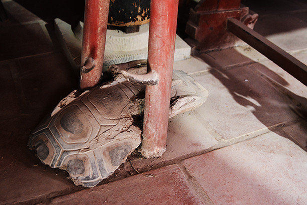 Di tích Quốc gia đền Bạch Vân xuống cấp đáng báo động