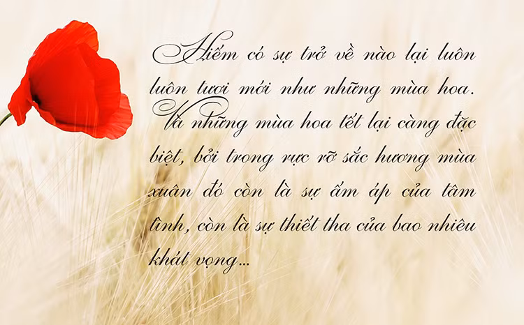 Người “vẽ” mùa xuân…