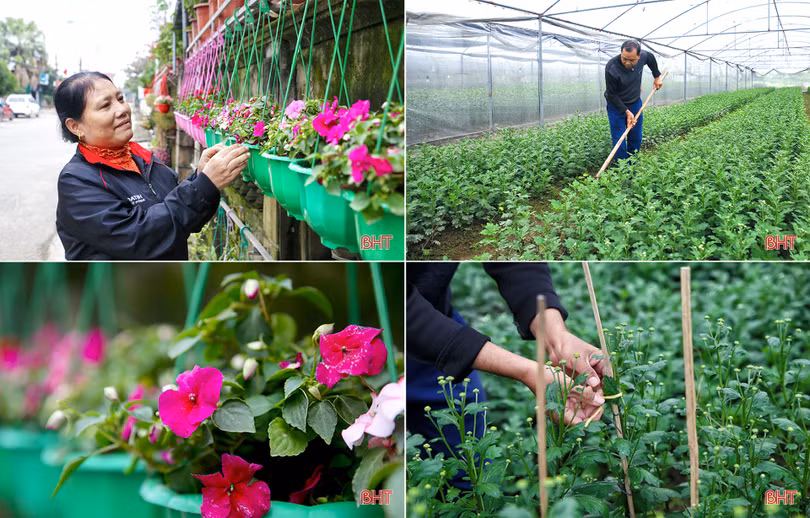 Người “vẽ” mùa xuân…