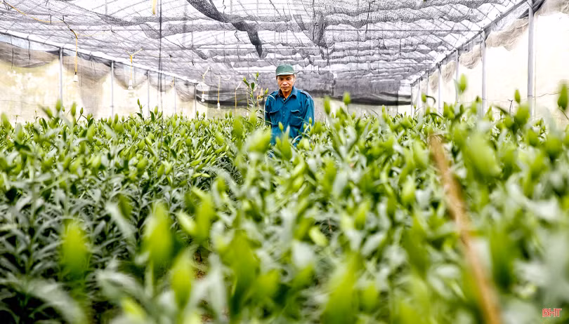 Người “vẽ” mùa xuân…