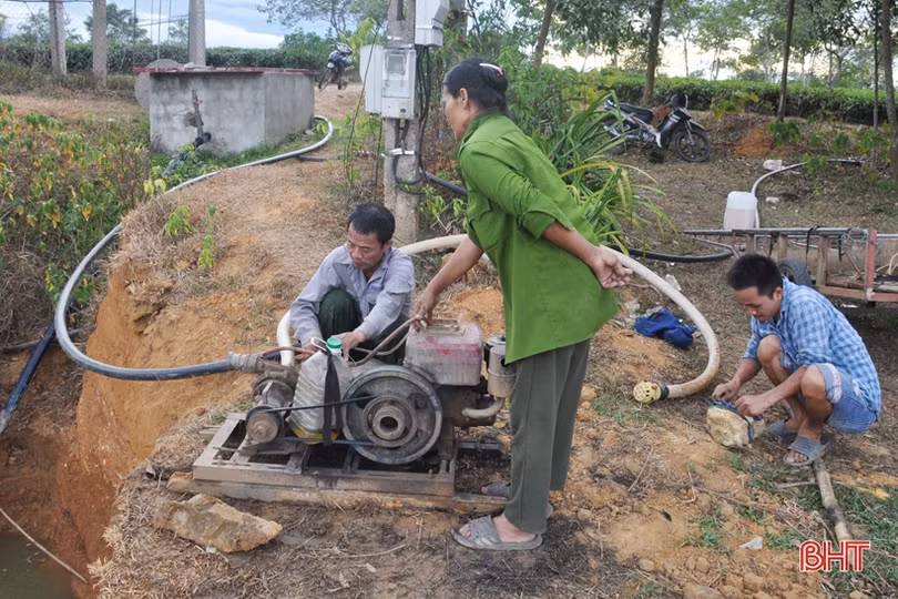 Nông dân miền núi Hà Tĩnh trắng đêm kéo nước cứu chè suốt cả tháng ròng