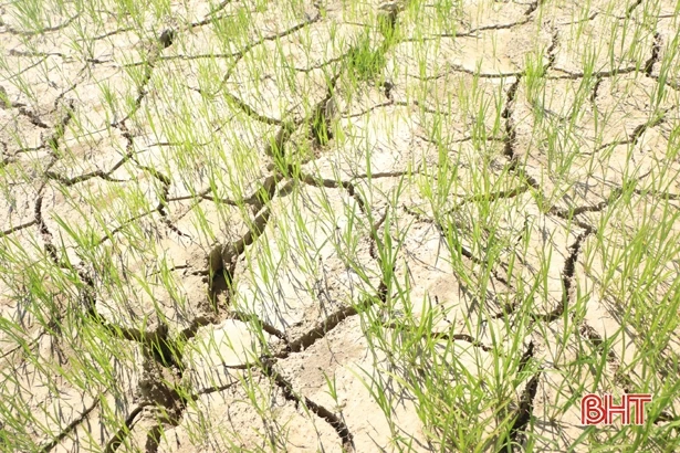 Theo chân công nhân thủy lợi Hà Tĩnh chống hạn, cứu lúa hè thu