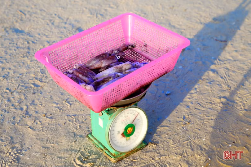 Sáng tinh mơ, du khách thích thú tắm biển, mua hải sản ở Hà Tĩnh