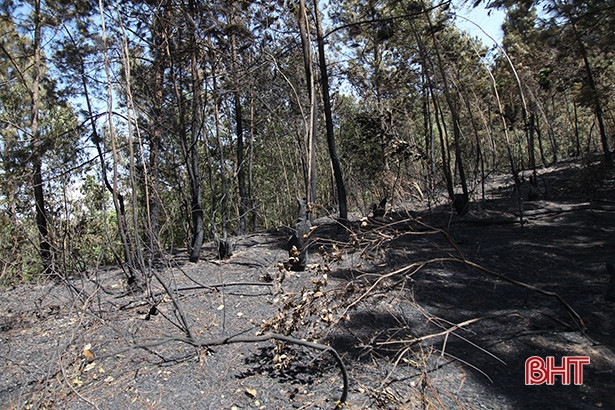 Lửa từ khu vực nghĩa trang gây cháy rừng diện rộng ở Hương Sơn, Vũ Quang