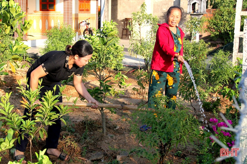 Người dân Kỳ Anh giữ màu xanh cho các tuyến đường trong nắng hạn