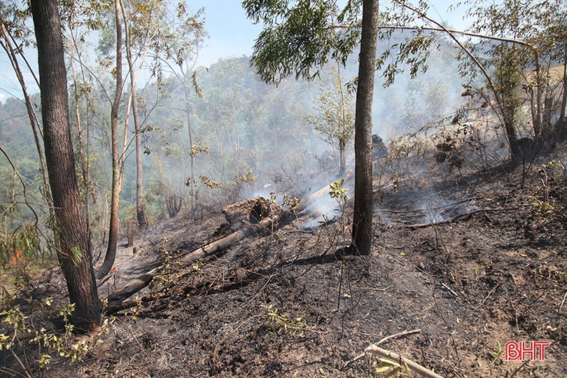 Xót xa nhìn “lá phổi xanh” sau vụ cháy rừng ở huyện miền núi Hà Tĩnh
