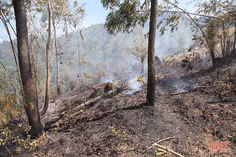 Xót xa nhìn “lá phổi xanh” sau vụ cháy rừng ở huyện miền núi Hà Tĩnh