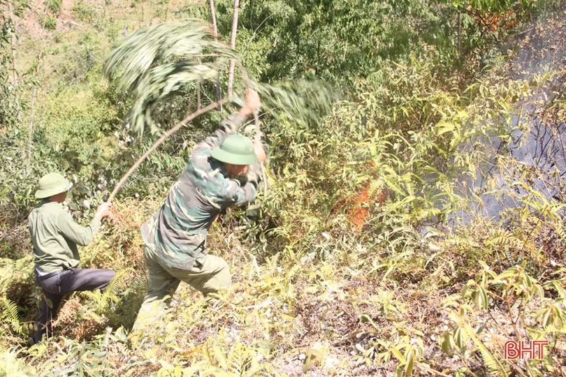 Tiếp tục cứu rừng Hương Sơn dưới nắng nóng 40 độ
