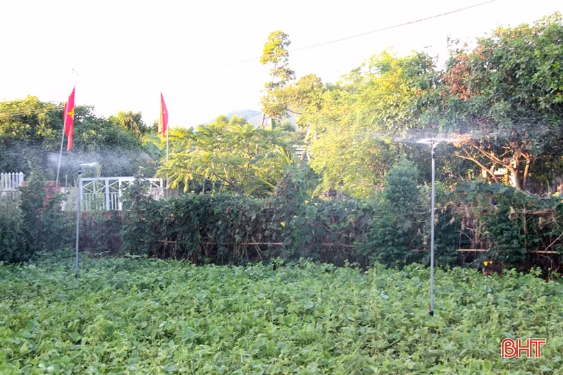 Người dân Kỳ Anh giữ màu xanh cho các tuyến đường trong nắng hạn