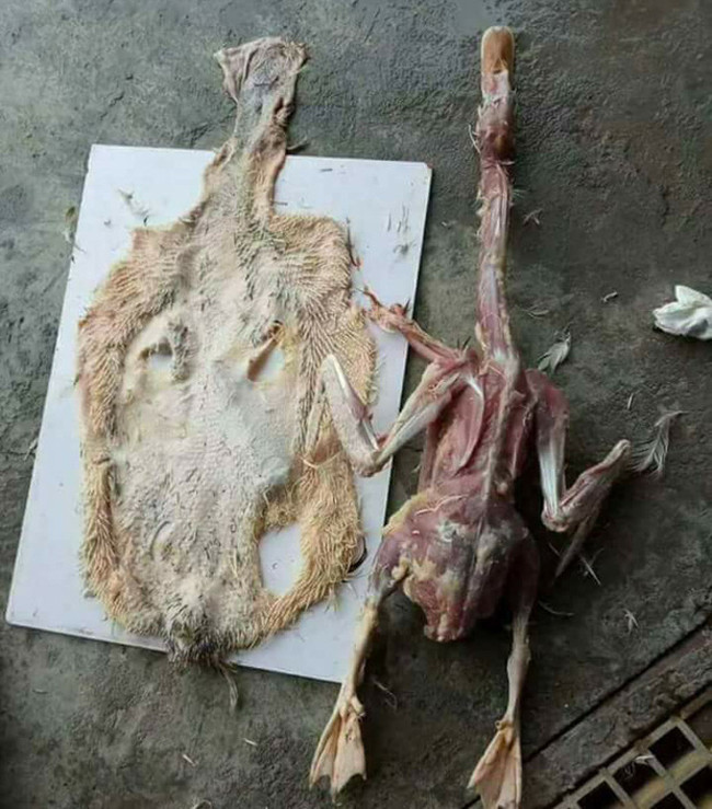 “Cười ra nước mắt” trước màn ra mắt nhà người yêu của các cô gái 