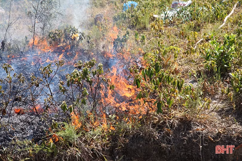 Tiếp tục cứu rừng Hương Sơn dưới nắng nóng 40 độ