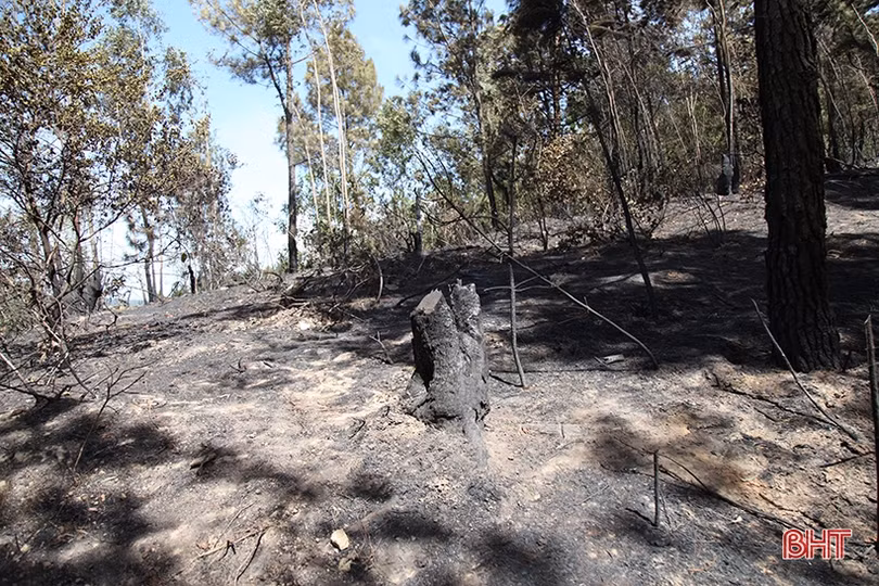 Tiếp tục cứu rừng Hương Sơn dưới nắng nóng 40 độ