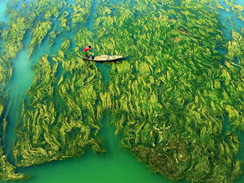 Những bức ảnh chủ đề nước hút thị giác, thắng giải thế giới