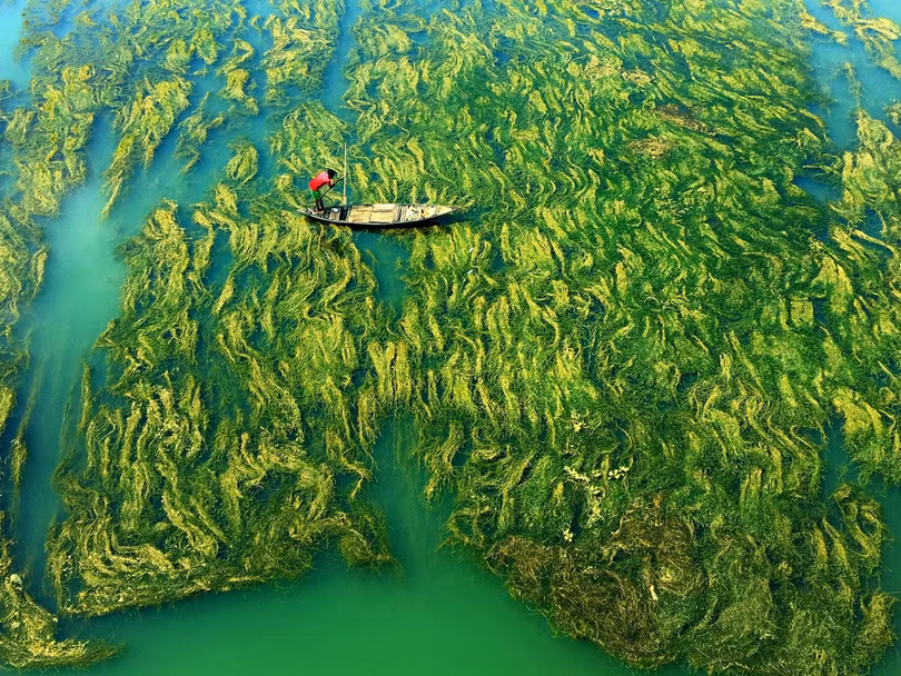 Những bức ảnh chủ đề nước hút thị giác, thắng giải thế giới