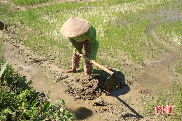 Theo chân công nhân thủy lợi Hà Tĩnh chống hạn, cứu lúa hè thu