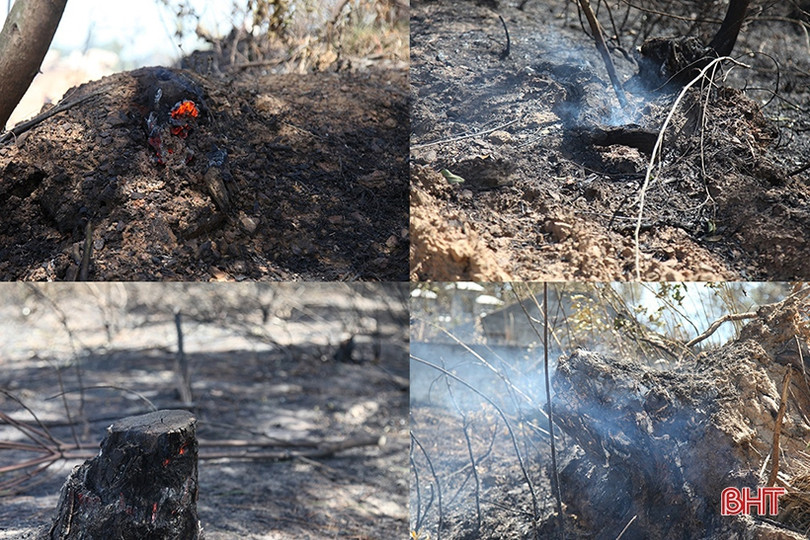 Xót xa nhìn “lá phổi xanh” sau vụ cháy rừng ở huyện miền núi Hà Tĩnh