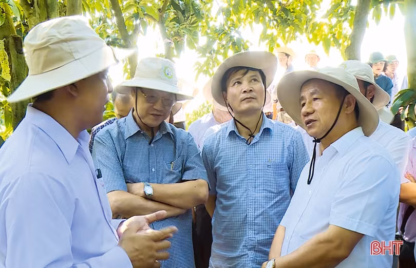 Góp ý văn kiện Đại hội Đảng bộ tỉnh Hà Tĩnh - Đợt sinh hoạt chính trị sâu rộng trong toàn dân