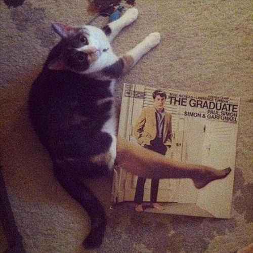 10 anh hai hot nhat facebook trong ngay