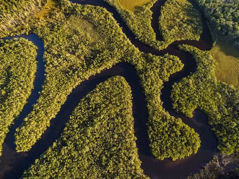 17 dong song noi tieng nhat the gioi tu mekong den seine