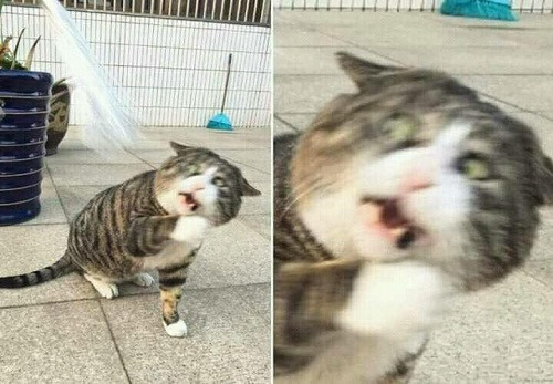 10 anh hai hot nhat facebook trong ngay