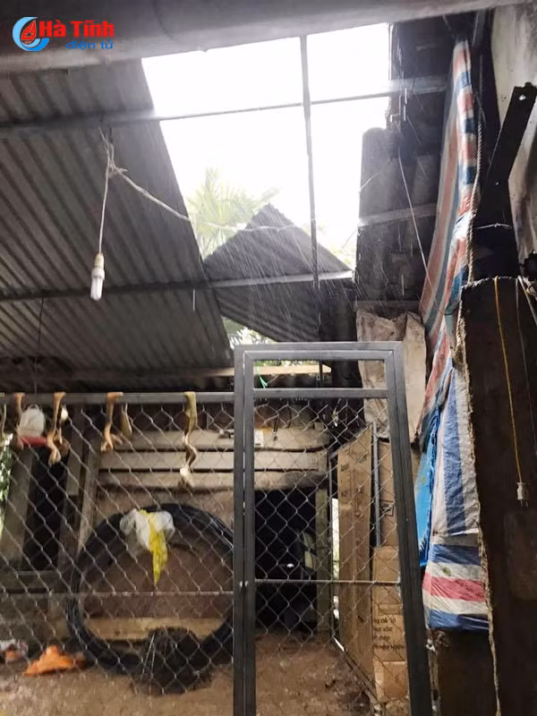 hinh anh thiet hai ban dau do bao so 10 tai ha tinh