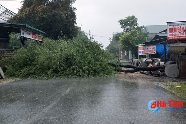 hinh anh thiet hai ban dau do bao so 10 tai ha tinh