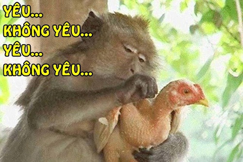 10 anh hai hot nhat facebook trong ngay