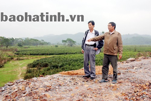 Phó Giám đốc Xí nghiệp Chè Tây Sơn - Lê Ngọc Quỳnh: "Sau 24 tiếng ngâm nước, chè, mía không chết mới lạ"