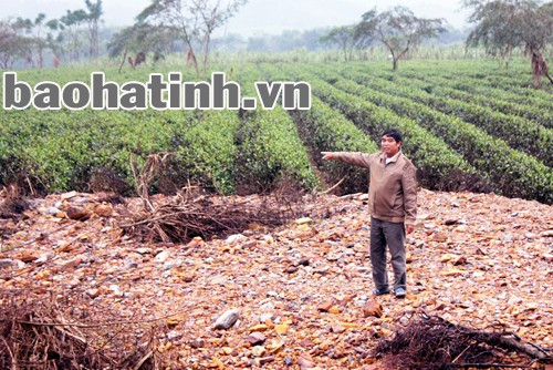 Một đoạn đường bị nước lũ cuốn trôi, lấp diện tích trồng chè.