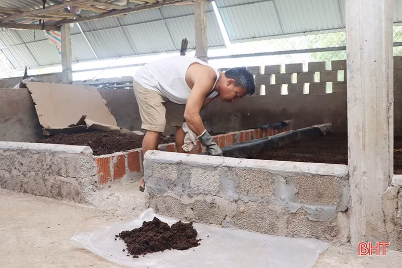 Nuôi giun quế mang lại “lợi ích kép” cho nhà nông Cẩm Xuyên