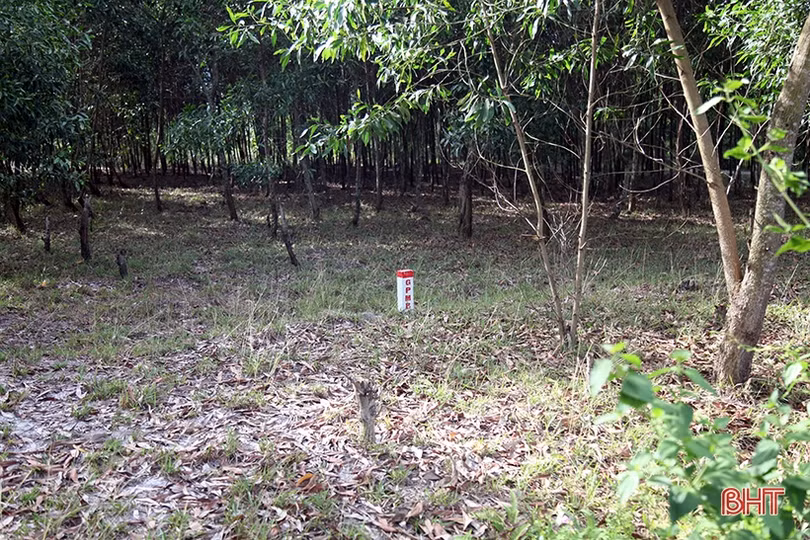 Hoàn thành bàn giao mốc GPMB tuyến chính cao tốc Bắc - Nam qua Hà Tĩnh