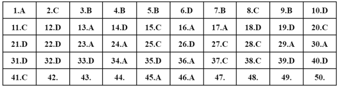 Đề và gợi ý đáp án môn Toán - Kỳ thi tốt nghiệp THPT 2022