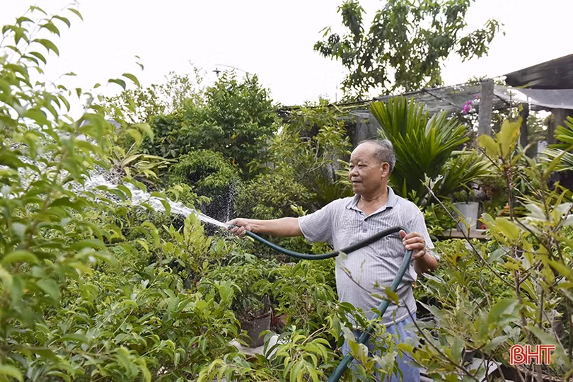 Người thương binh tiên phong hiến đất mở đường đô thị Hồng Lĩnh