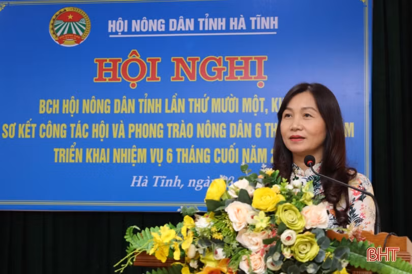 Hội Nông dân Hà Tĩnh đặt ra 11 nhiệm vụ trọng tâm trong 6 tháng cuối năm