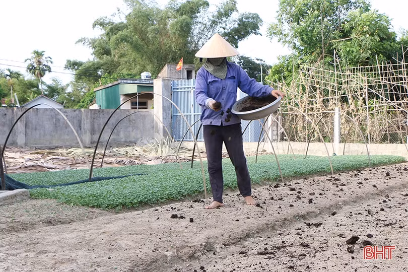 Sản xuất cây trồng cạn hè thu ở Hà Tĩnh: Đừng bỏ lỡ kế hoạch!