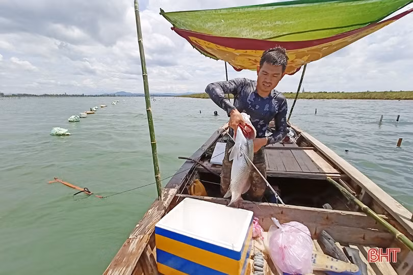 Săn cá dưới đáy sông ở Hà Tĩnh