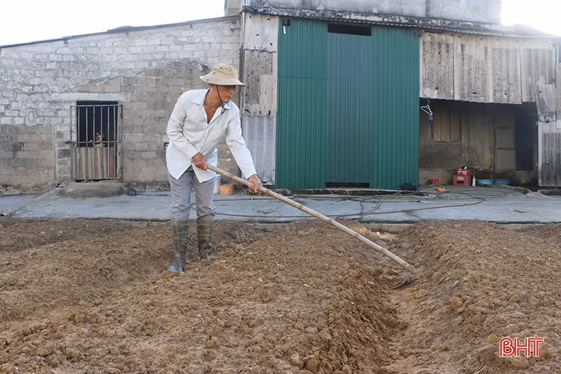 Sản xuất cây trồng cạn hè thu ở Hà Tĩnh: Đừng bỏ lỡ kế hoạch!