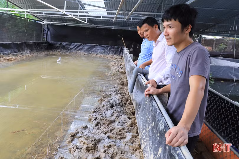 Làm nhà nuôi ốc bươu, thanh niên phố núi Hương Sơn thu lãi cao