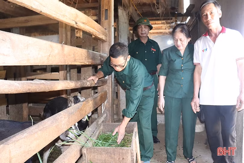 Cựu thanh niên xung phong giỏi làm kinh tế, chăm lo việc hội