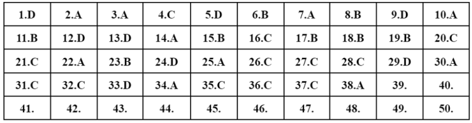 Đề và gợi ý đáp án môn Toán - Kỳ thi tốt nghiệp THPT 2022